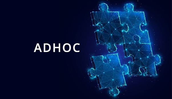 article cover for Shaping Value with Data Flexibility